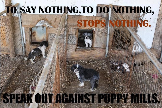 should puppy mills be illegal